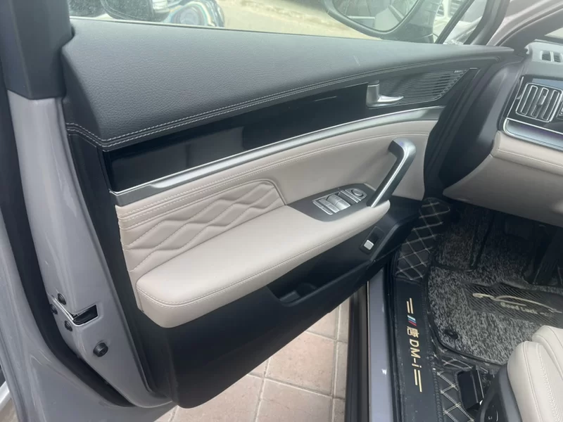 BYD Tang New Energy 2025 car image #3