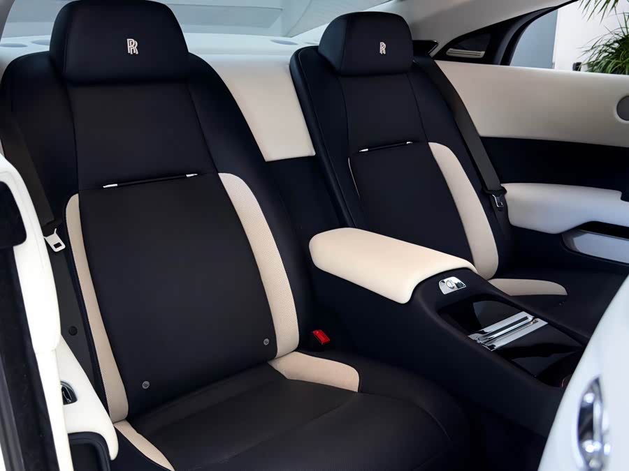 Denza Wraith 2018 car image #12