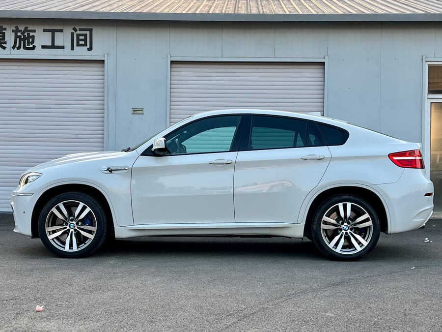 BMW X6 M 2012 car image #12