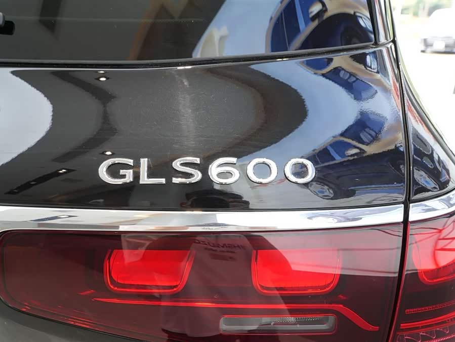 Mercedes-Benz Maybach GLS car image #12