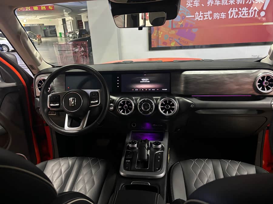 Tank 300 2022 car image #12