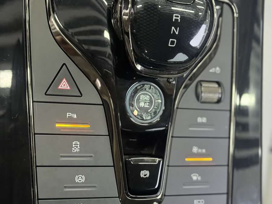 BYD e9 2021 car image #12