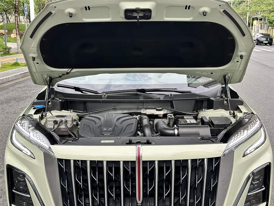 HongQi HS3 2023 car image #12