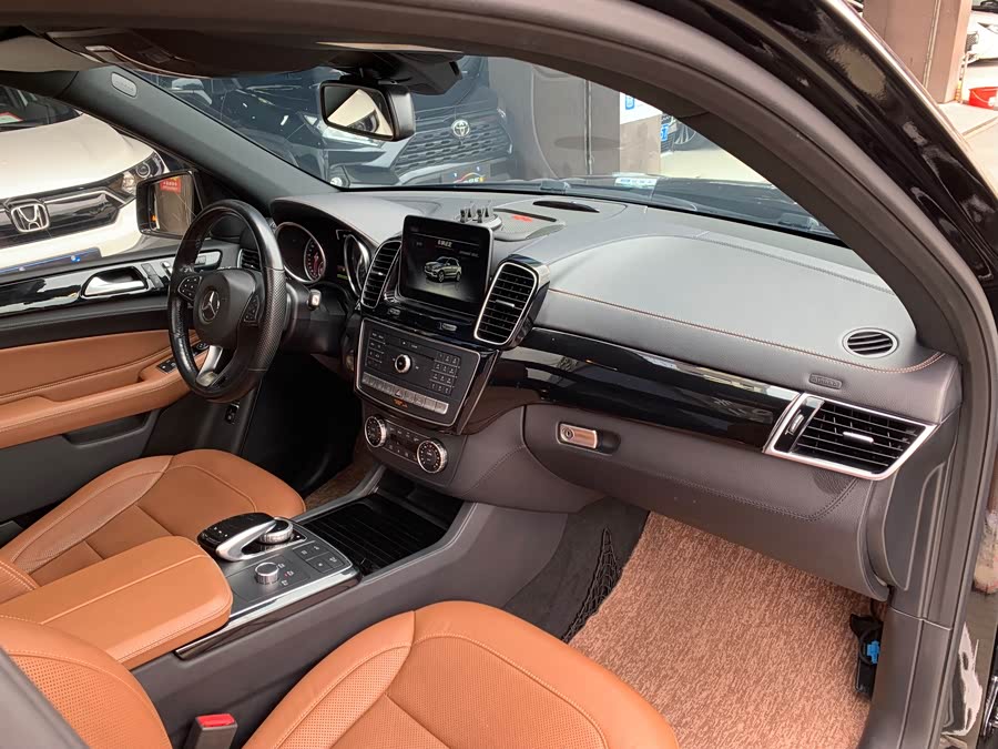 Mercedes-Benz GLE Class New Energy 2018 car image #12