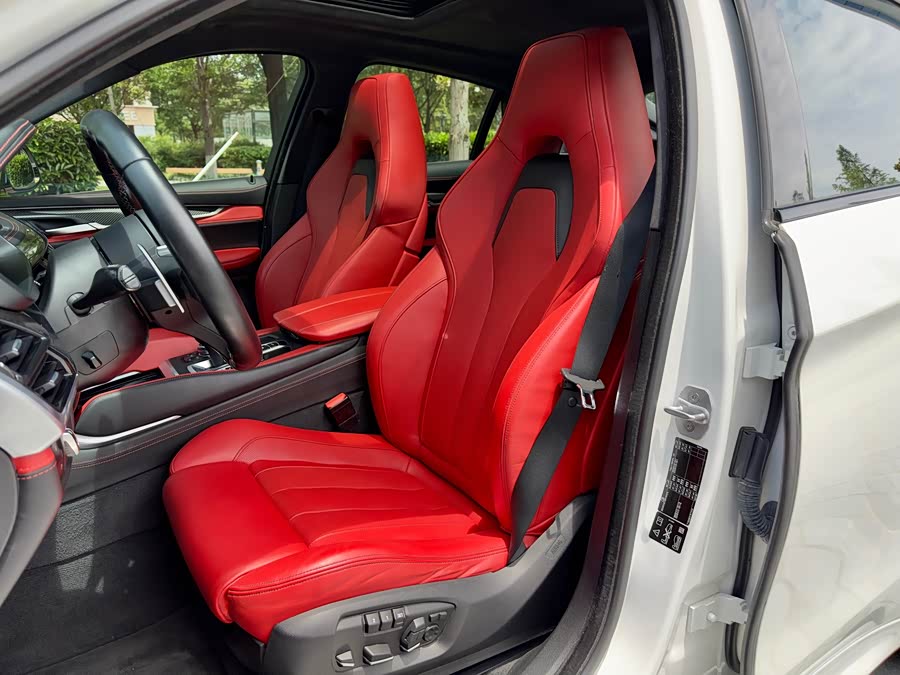 BMW X6 M 2017 car image #12