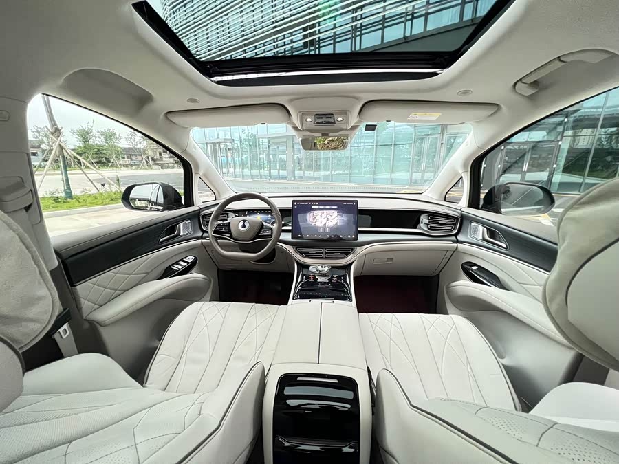 Denza D9 2023 car image #12