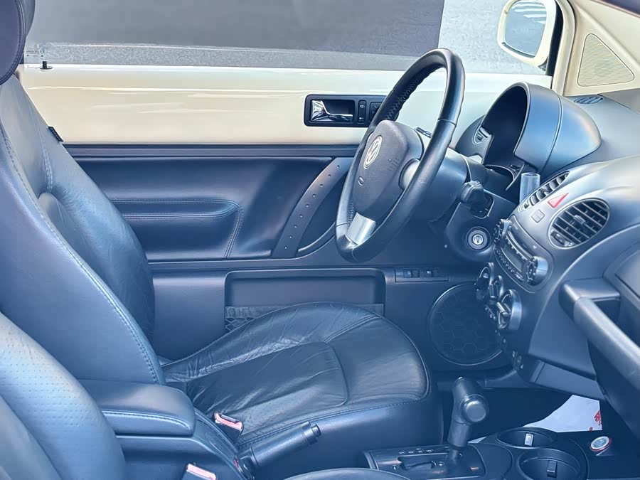 Volkswagen Beetle 2009 immagine di auto #12