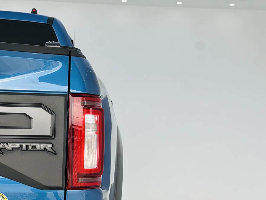 Ford F-150 Raptor 2020 car image #12