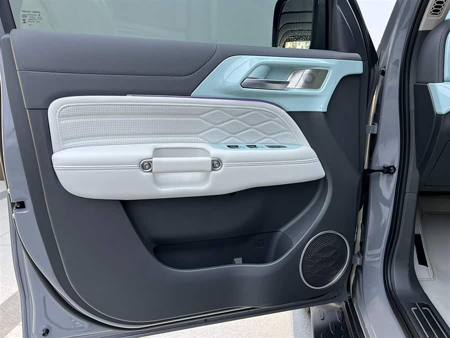 Tank 300 New Energy 2024 #12 Tank 300 New Energy 2024 car image #12