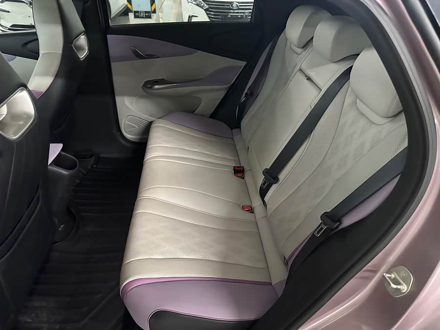 BYD Dolphin 2023 imagem de carro #12