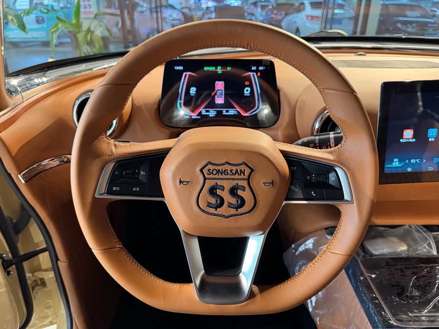 SONGSAN MOTORS SS DOLPHIN 2023 汽车图片 #12