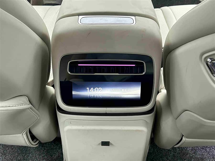 Denza N9 2025 car image #12