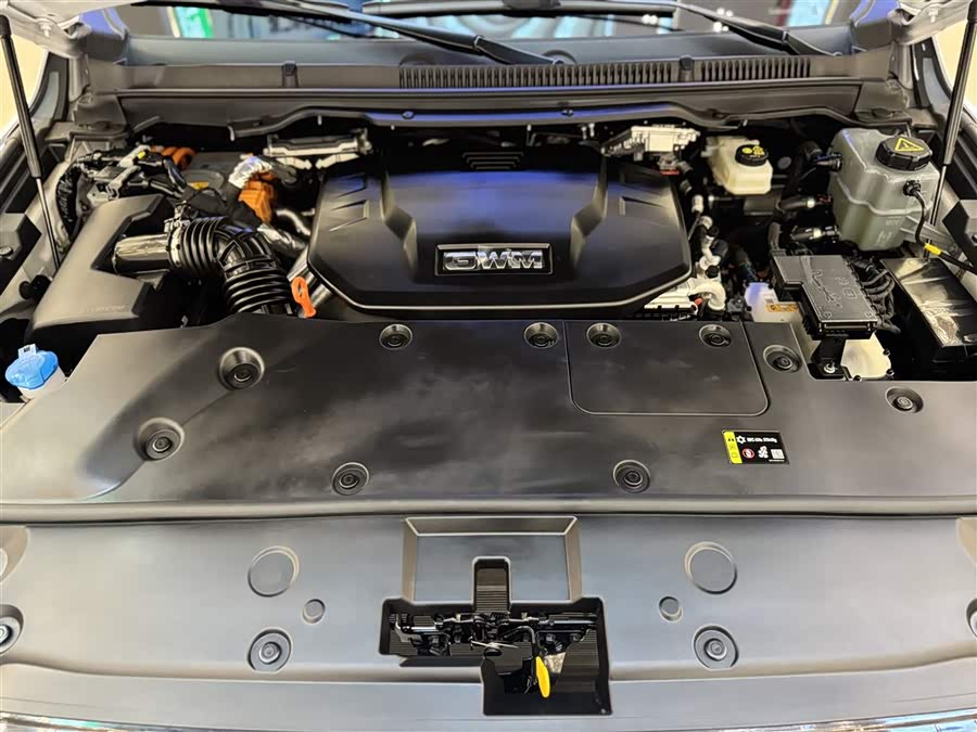 Tank 500 New Energy 2024 immagine di auto #12