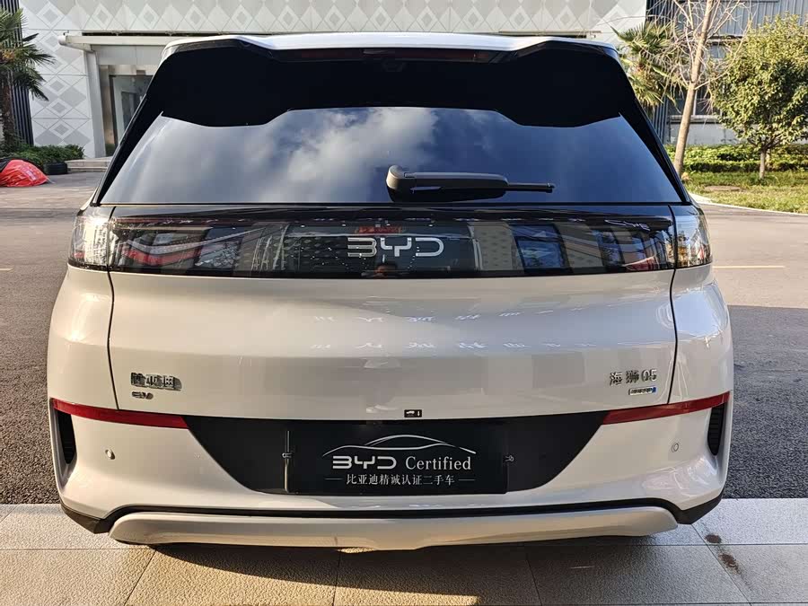 BYD Sea Lion 05 EV 2025 car image #12