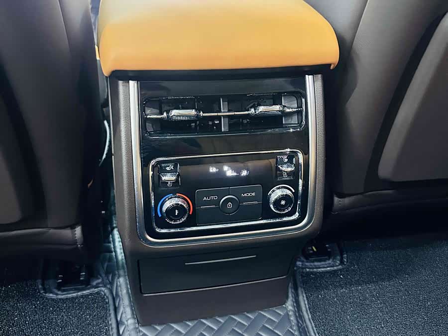 Tank 500 New Energy 2024 car image #12