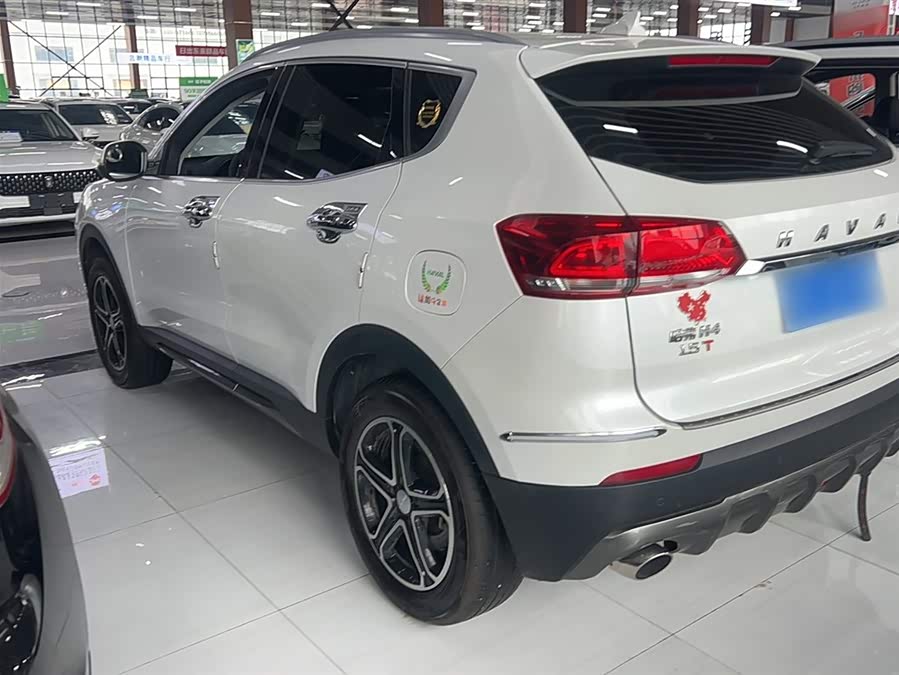 Haval H4 2020 immagine di auto #12