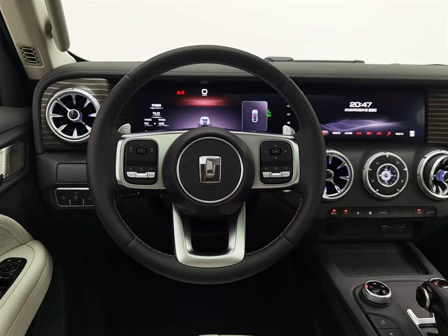 Tank 300 New Energy 2024 car image #12