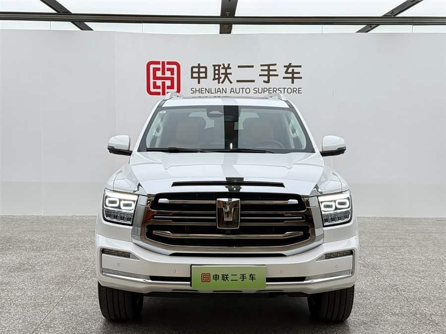 Tank 500 New Energy 2024 immagine di auto #12