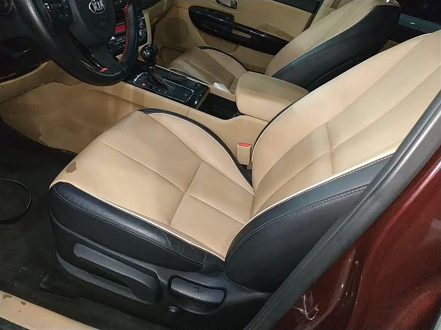 Kia Carnival (Imported) 2016 car image #12