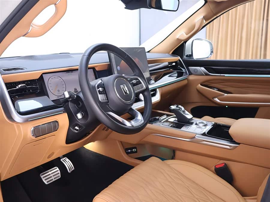 Tank 500 New Energy 2023 car image #12