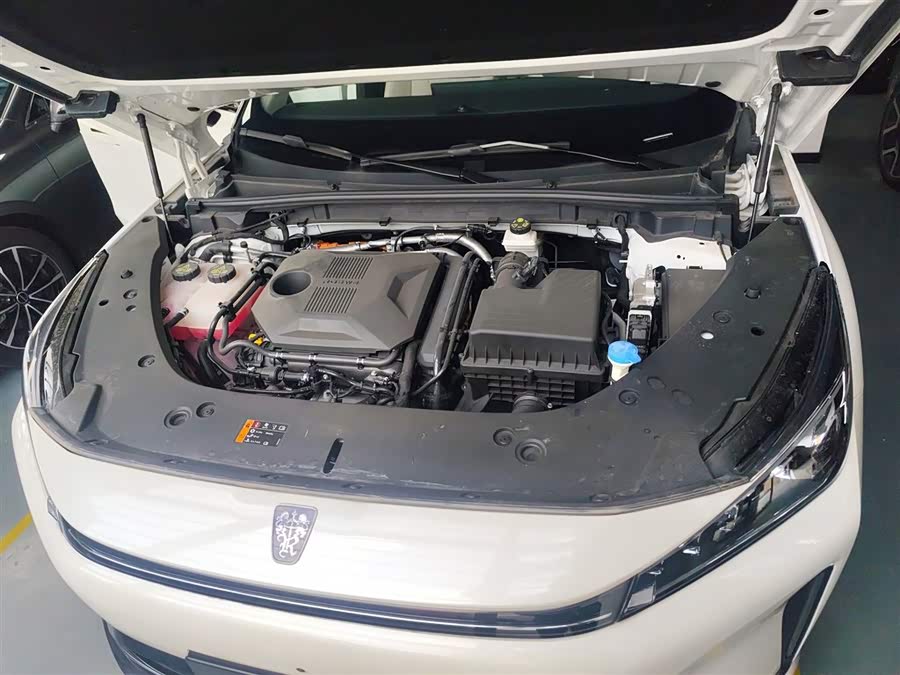 Roewe D5X DMH 2025 imagen de coche #12