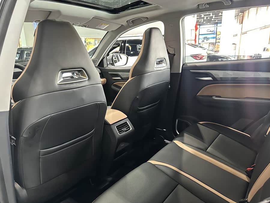 GEELY OkavangoPRO 2024 car image #12