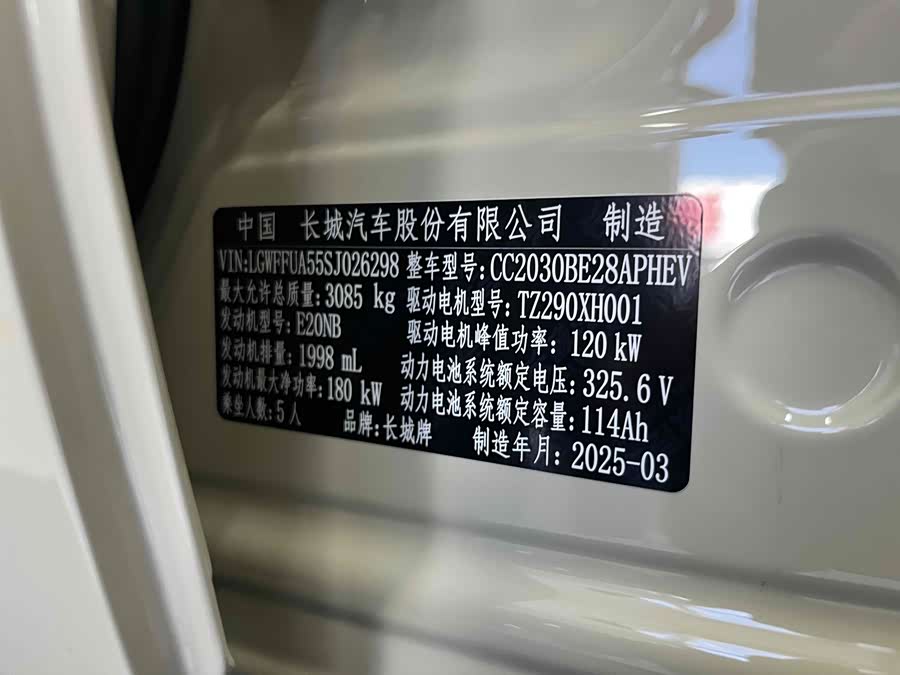 Tank 300 New Energy 2025 car image #12