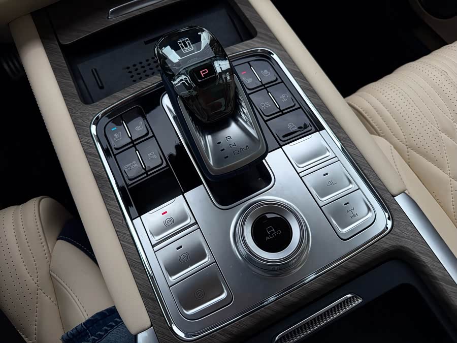 Tank 500 New Energy 2025 immagine di auto #12