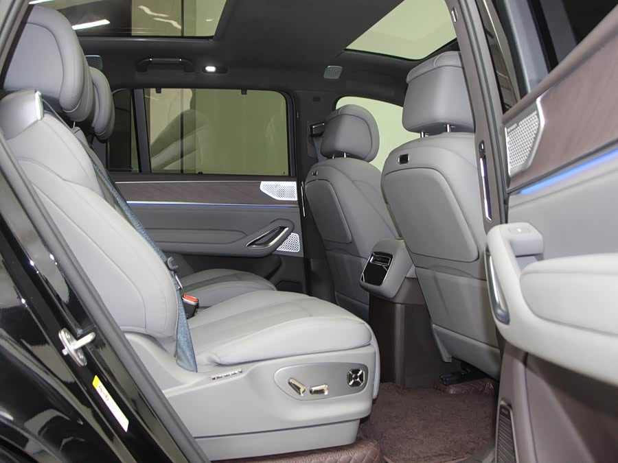 Denza N9 2025 car image #12