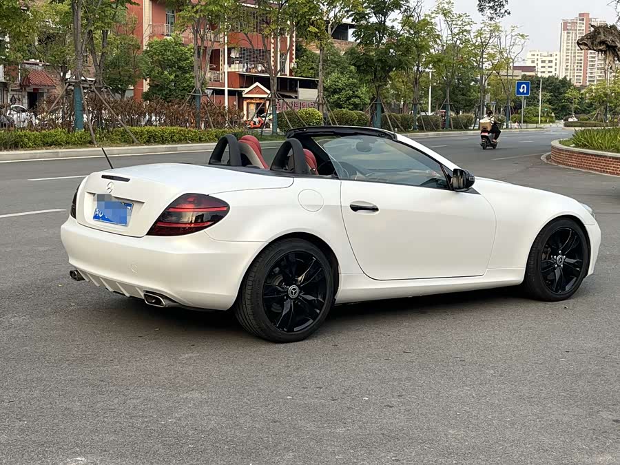 Mercedes-Benz SLK Class 2008 car image #12