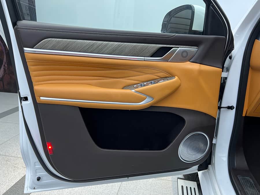 Tank 500 New Energy 2023 immagine di auto #12