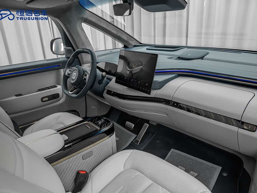 极氪 极氪MIX 2024 汽车图片 #12