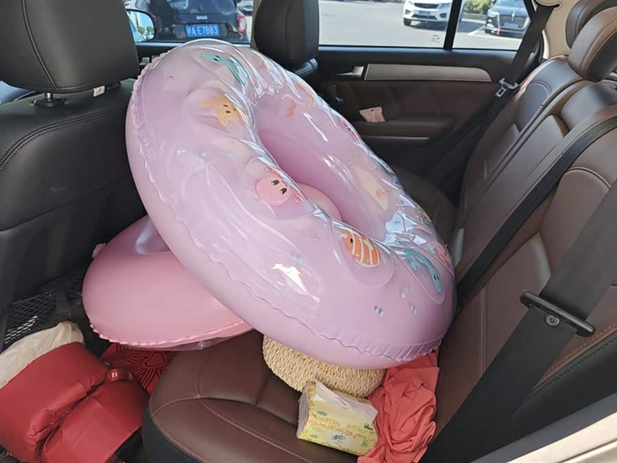 Haval H8 2018 #12 Haval H8 2018 car image #12