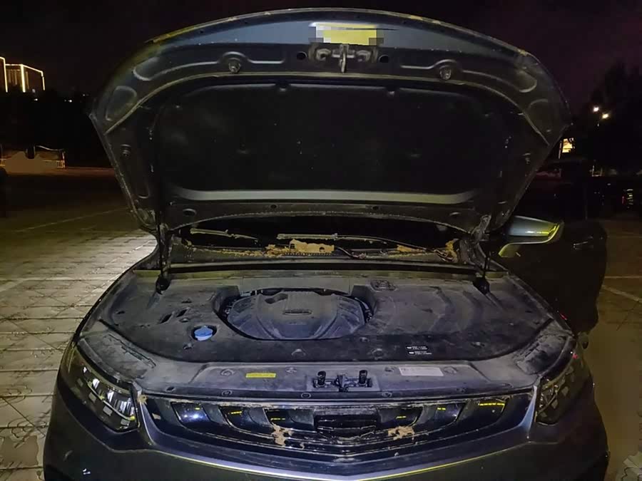 GEELY Tugella New Energy 2019 car image #12