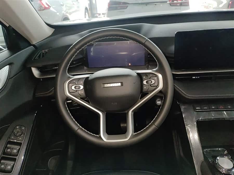 Haval H6 2025 immagine di auto #12