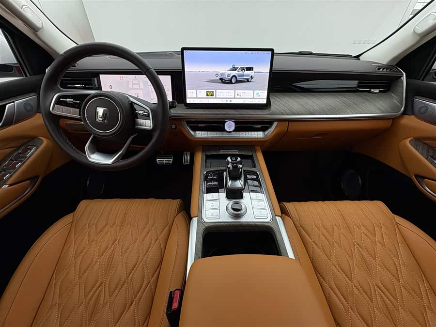 Tank 500 New Energy 2024 immagine di auto #12