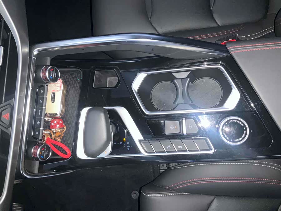 GEELY Tugella S 2022 car image #12