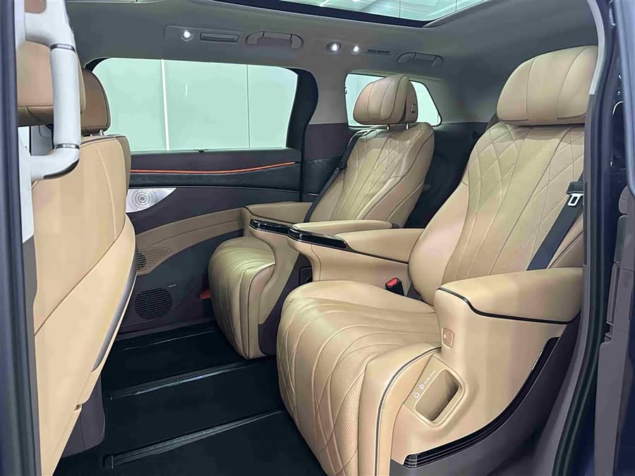 Denza D9 2023 imagem de carro #12