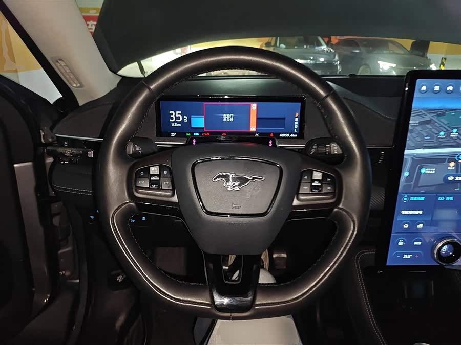 Ford Mustang Mach-E 2022 car image #12