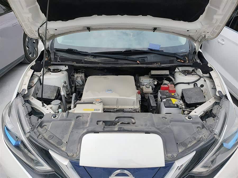 日产 轩逸·纯电 2019 汽车图片 #12