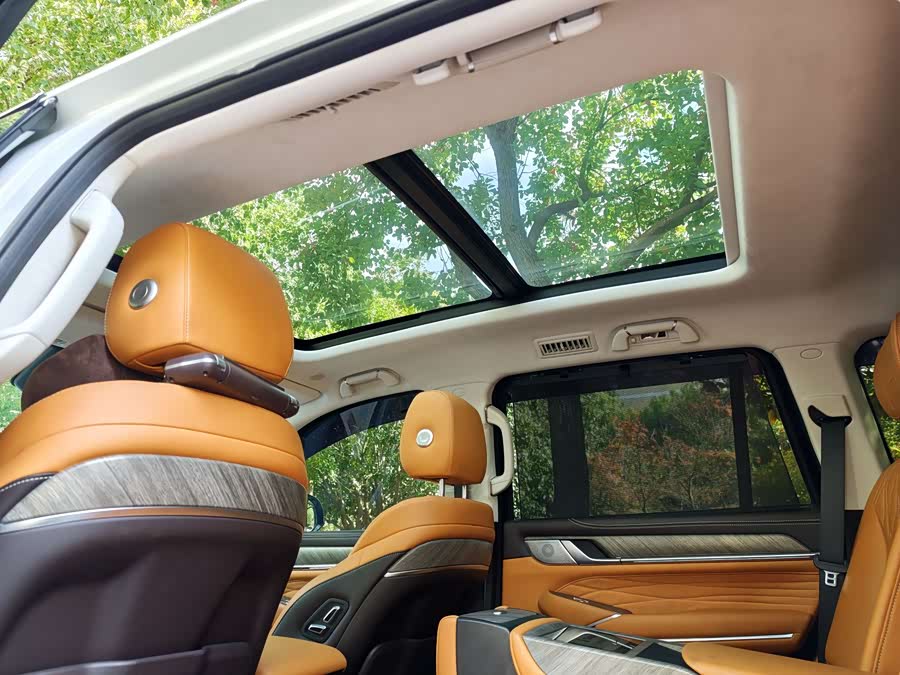 Tank 300 2021 car image #12