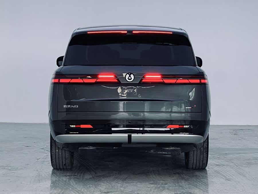 Denza N9 2025 car image #12