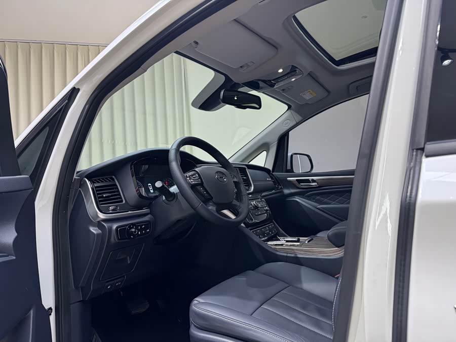 GAC Trumpchi M8 2020 #12 GAC Trumpchi M8 2020 car image #12