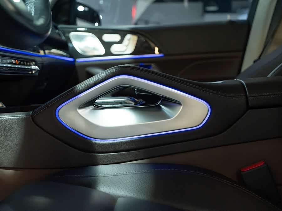 Mercedes-Benz GLS Class 2021 car image #12