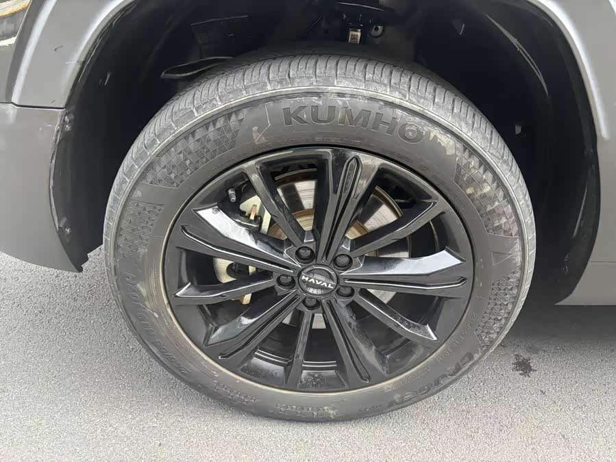 Haval Raptor New Energy 2023 car image #12