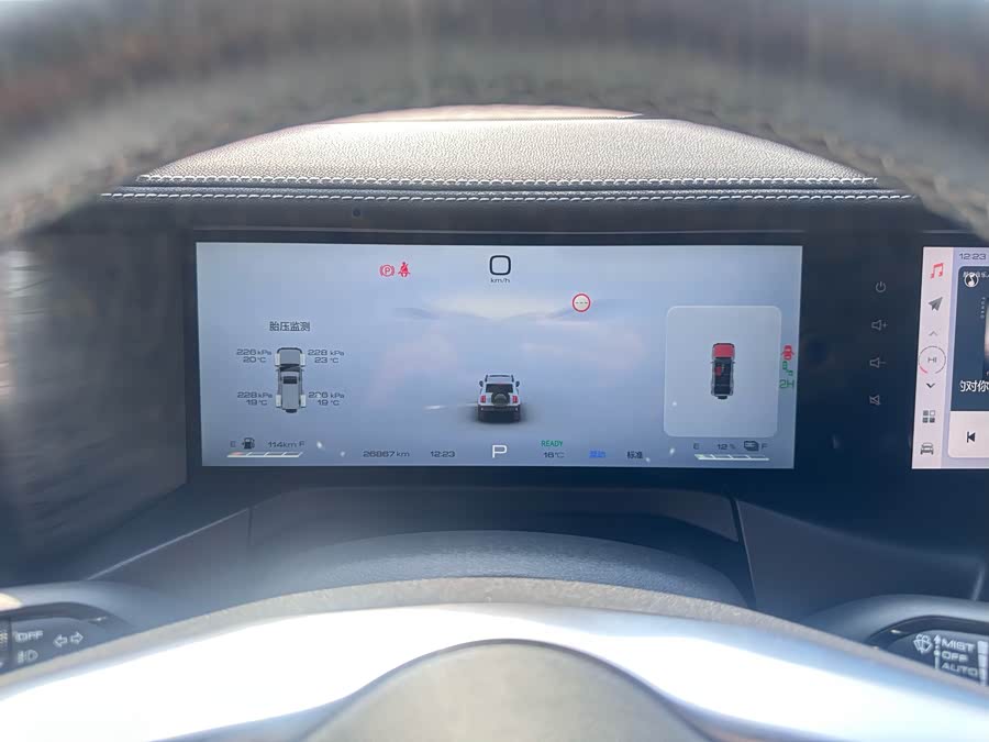 Tank 300 New Energy 2024 car image #12