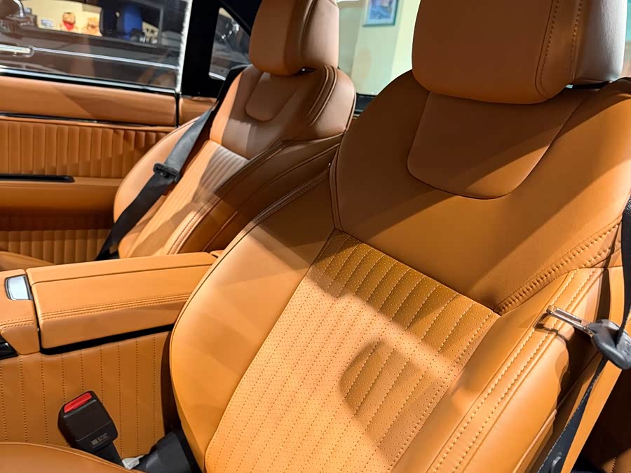 SONGSAN MOTORS SS DOLPHIN 2023 汽车图片 #12