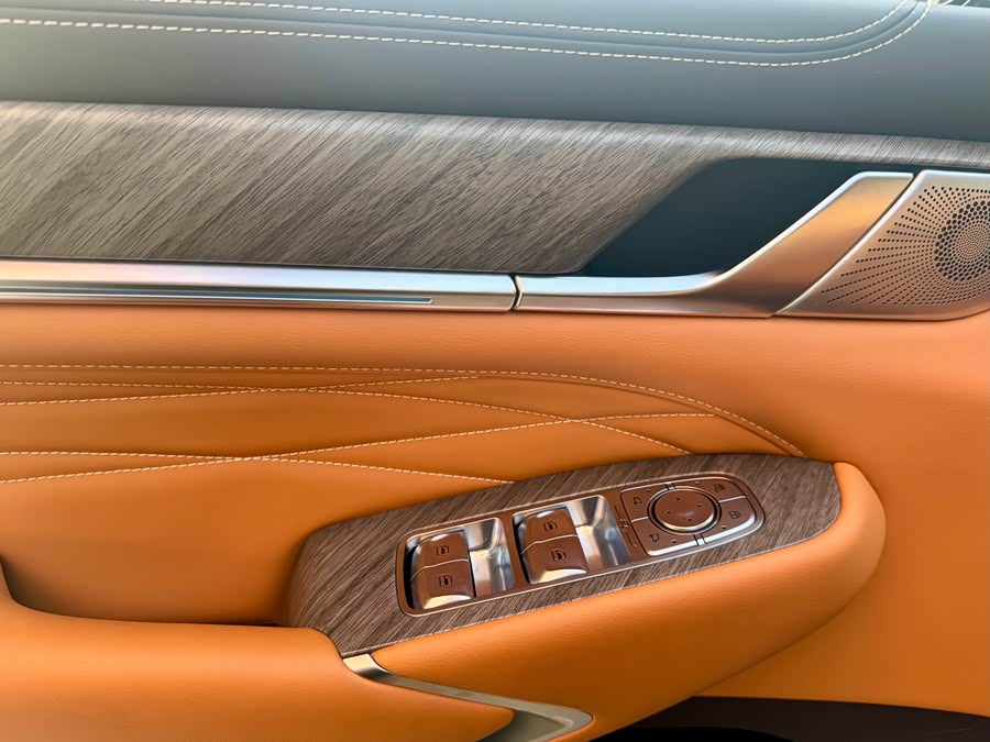 Tank 500 New Energy 2024 car image #12