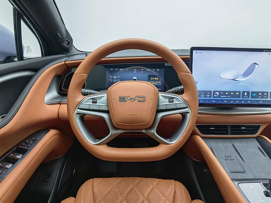 BYD Sea Lion 07 EV 2025 car image #12