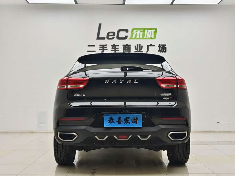 Haval F5 2018 car image #12